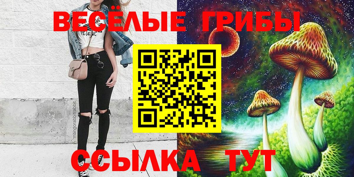 Псилоцибиновые грибы GOLDEN TEACHER Сатка
