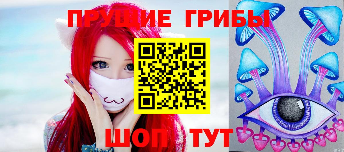 хочу наркоту  Псилоцибиновые грибы Psilocybe  Вход с VPN  Сатка 